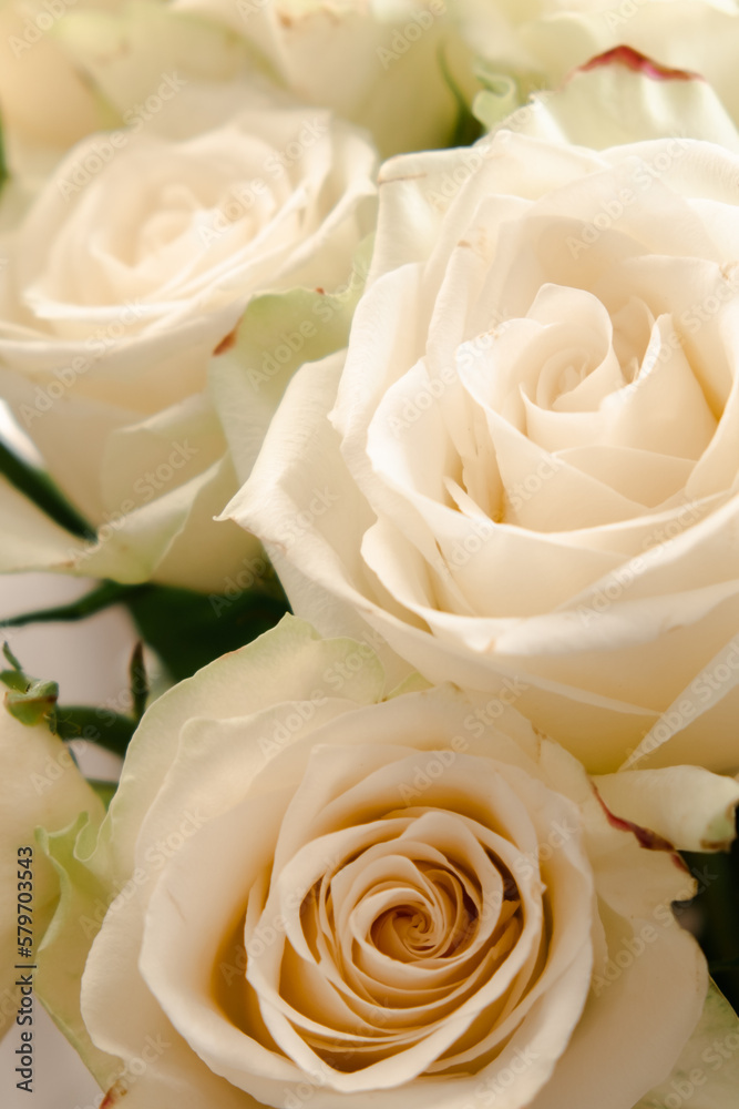 white roses bouquet