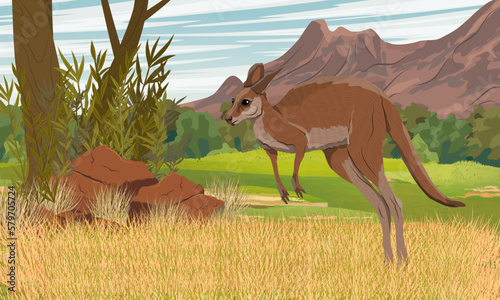 Australian big red kangaroo jumping on dry grass at the foot of a mountain range. Endemic species of Australia. Realistic vector landscape