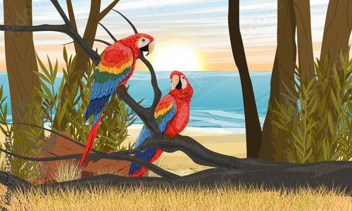 Two scarlet macaw parrots sit on the branches of a tropical plant near the sea coast. South America and Africa. Realistic vector landscape