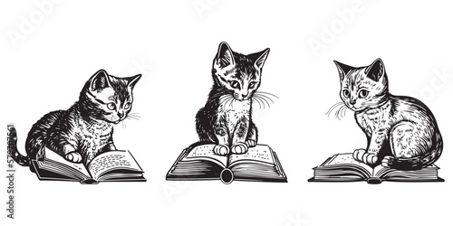 set of a seating cute cat reading book vector black outline silhouette isolated on white background.
