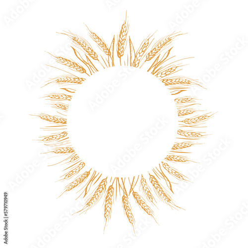 Wreath frame from ears of wheat.A bunch of ears of wheat,dried whole grains.Cereal harvest,agriculture,organic farming,healthy food symbol.Ears of wheat hand drawn.Design element. Isolated background