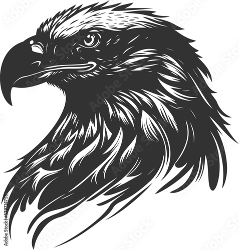 An elegant hand-drawn eagle head isolated silhouette illustration with detailed features.