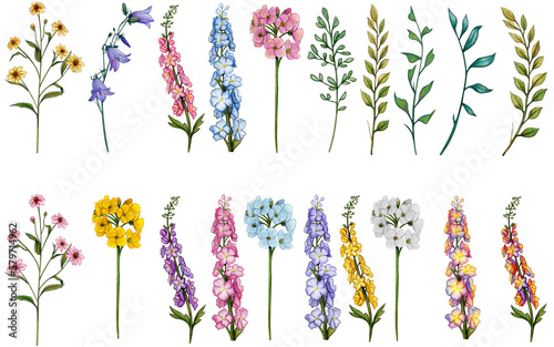 Fotobehang watercolor hand drawn wildflowers collection