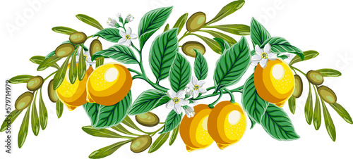 Wedding invitation with lemon, leaf, flower and olive branches elements, highlight individual PNG objects.