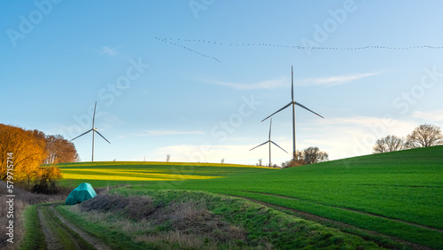Wind turbines in the field under the blue sky