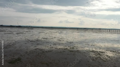 Wallpaper Mural People standing on elevated ground on sea coast at low tide. Southend Pier in Thames river estuary in background. Southend-on-Sea, UK Torontodigital.ca