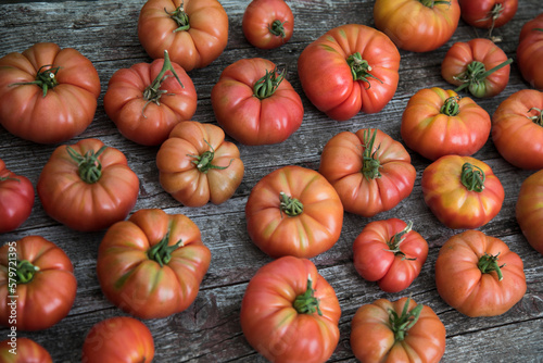 Vegetables, Tomatoes, on desk in garden