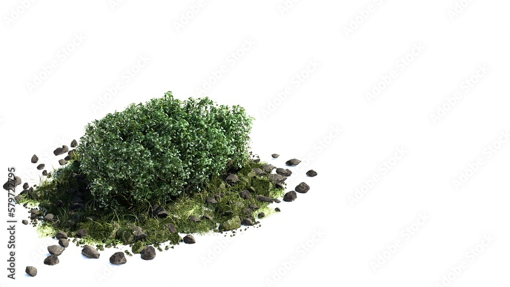 Busch, Pflanzen, Botanik, Freisteller, Steine, weiss, Bio, Lebensraum, grün, Pflanzen, Flora, gras, garten, beet, natur, ntürlich, biotop, Garten, Park, Anlage, Biologie Busch, Pflanzen, Botanik, Freisteller, Steine, weiss, Bio, Lebensraum, grün, Pflanzen, Flora, gras, garten, beet, natur, ntürlich, biotop, Garten, Park, Anlage, Biologie