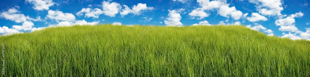 Green grassy field and blue skies with puffy white clouds. Panoramic landscape