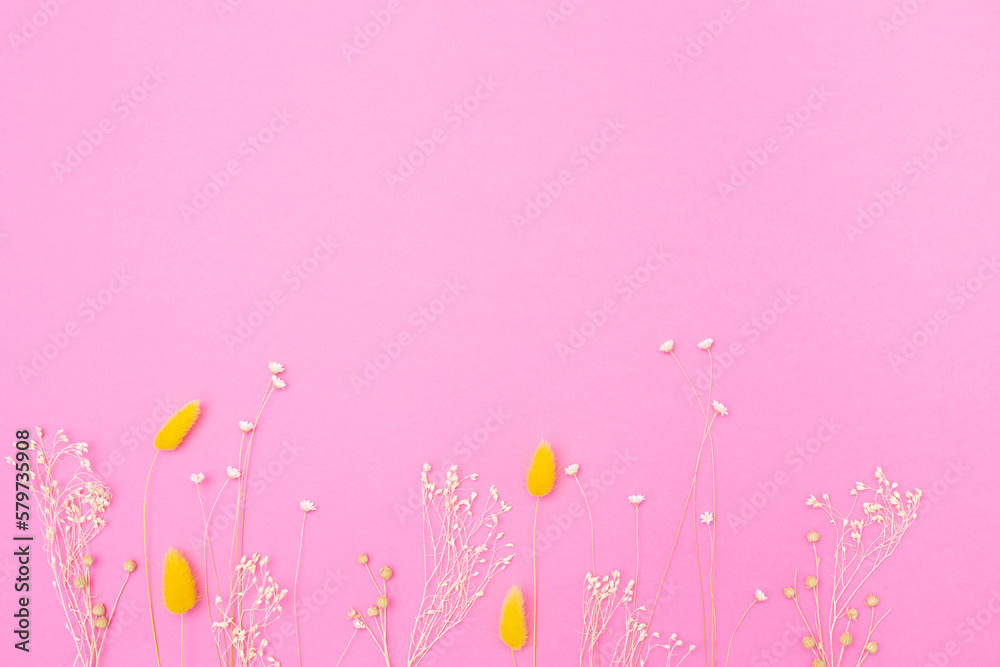 Dried flowers, spikelets on pink background. Floral minimal concept. Beautiful flowers composition. Flat lay, top view, copy space