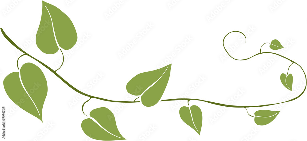 Simplicity ivy freehand drawing Simplicity ivy freehand drawing