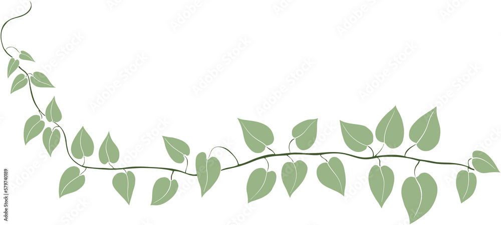 Obraz premium Simplicity ivy freehand drawing