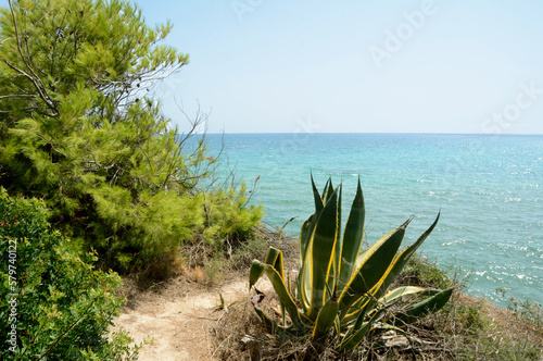 Wonderful Sicily with the scents of the Mediterranean scrub with evergreen bushes and conifers and the turquoise blue of its crystalline waters.