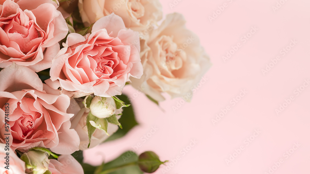Pink roses on a pink background. Greeting card.