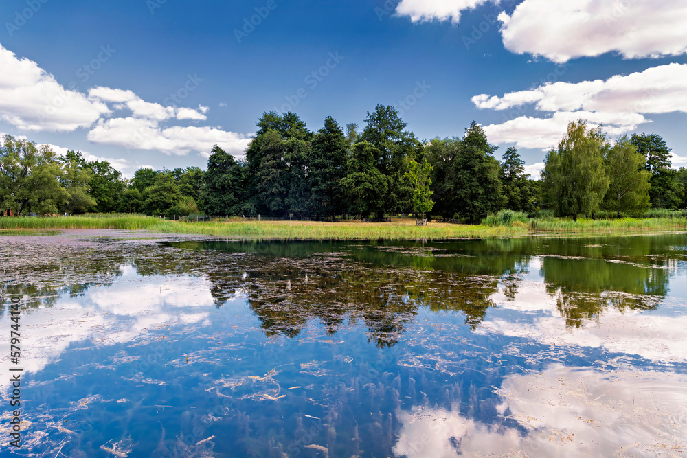 Fototapeta premium wooded shore with reflection in lake, Britzer Garden, Berlin