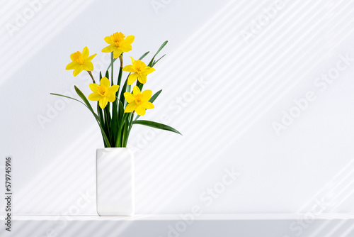 Hello spring, summer flowers background concept with sun rays. Easter yellow bunch of blossoming narcissus flowers in white vase on white nature background, space for text.