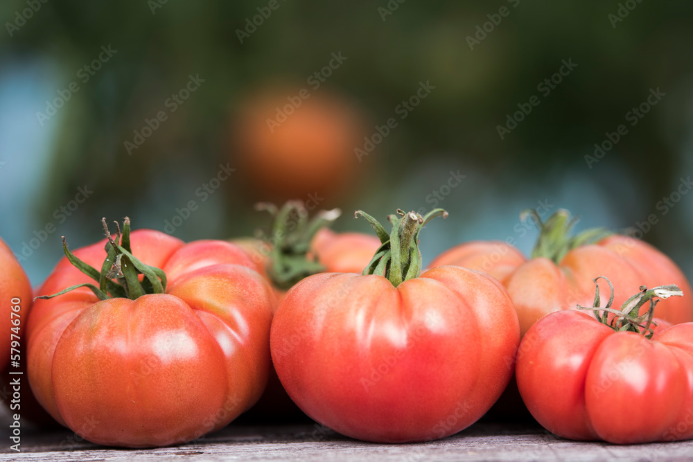 Organic food, Free red vegetables of tomato Organic food, Free red vegetables of tomato