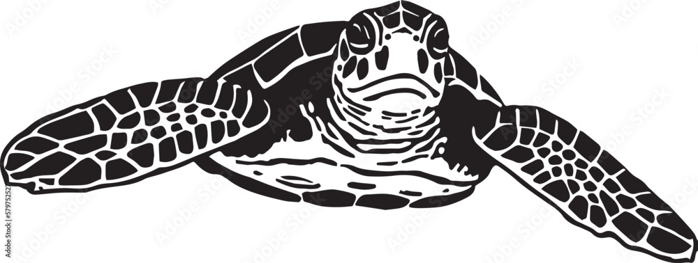Vector turtle silhouette of a isolated on a white background, Vector ...