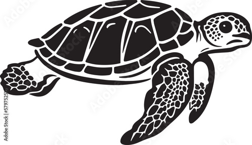 Vector turtle silhouette of a isolated on a white background, Vector illustration SVG