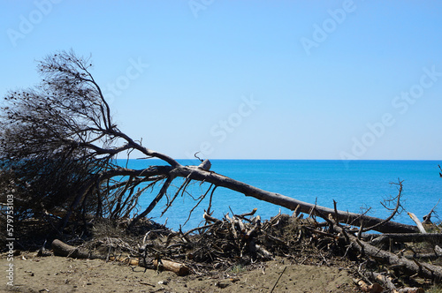 Mittelmeer Mediterranean Sea Italy Tuscany
