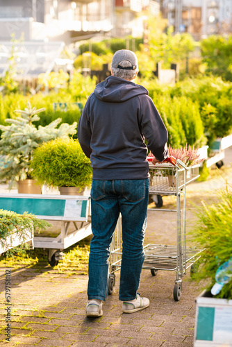 man gardener shopping in garden center, buying heather plants