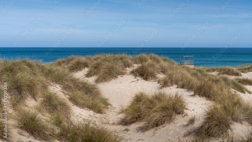 Beautiful white sand dunes at the sea beach Beautiful white sand dunes at the sea beach