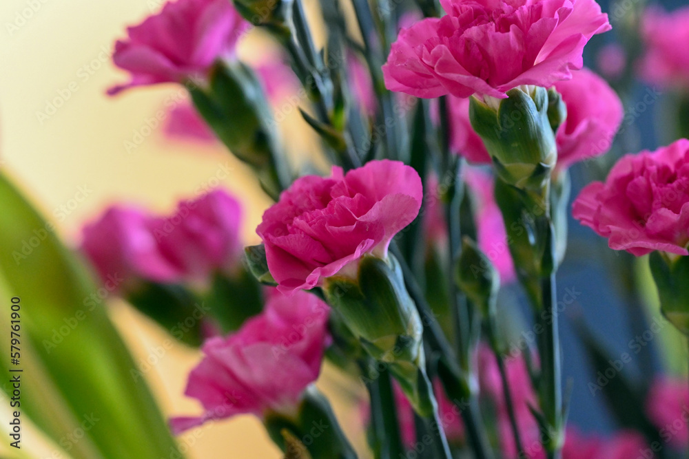 Naklejka premium flowers in a vase in the room