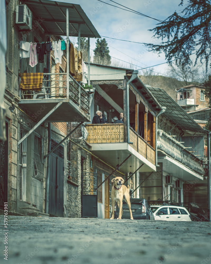 Georgia