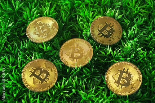 bitcoin on green grass background photo