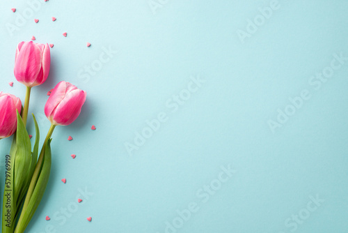 Mother's Day decorations concept. Top view photo of bunch of pink tulips and heart shaped sprinkles on isolated light blue background with copyspace #579769919