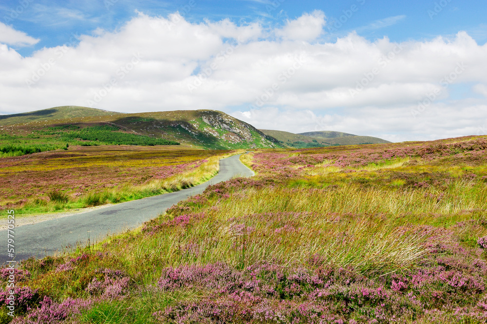 Wicklow Mountains Hills. Quiet lonely open mountain road 5 miles NW of Laragh coming from Sally Gap. County Wicklow, Ireland