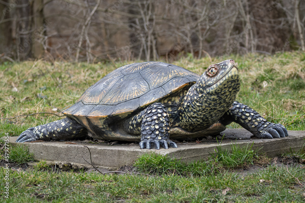 Large plastic model of a water turtle on a concrete base. Large plastic model of a water turtle on a concrete base.