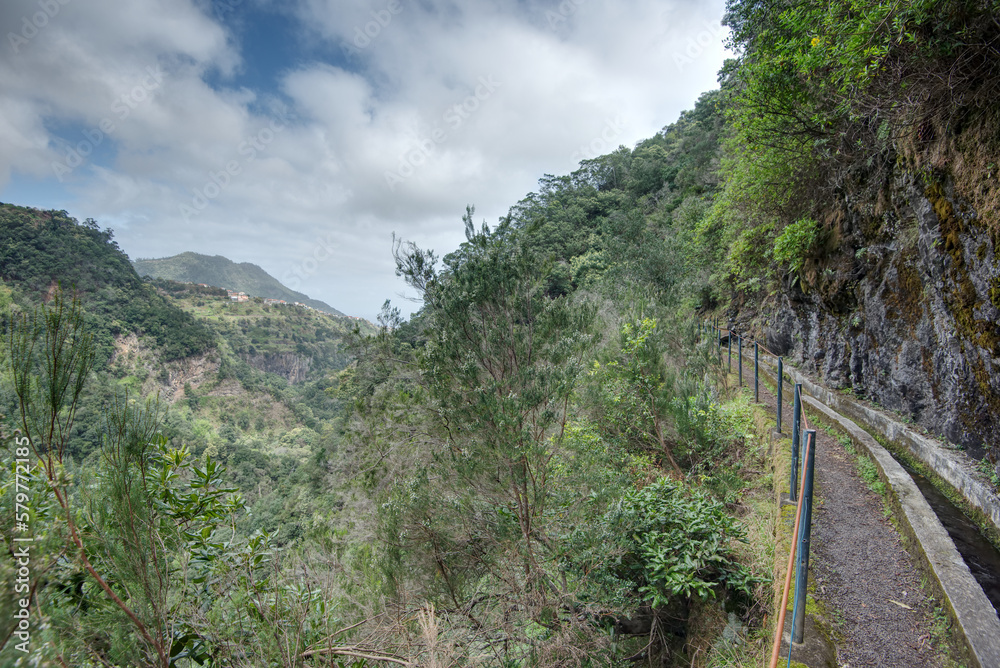 Fototapeta premium Portugal - Madeira - Cruz - Levada do Castelejo