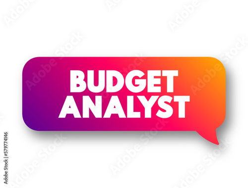 Budget Analyst are responsible for reviewing the organization's budget and approving spending requests, text concept message bubble