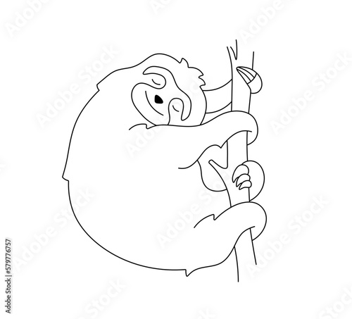 Vector isolated one single cute cartoon sloth sleeping on a tree branch colorless black and white contour line easy drawing

