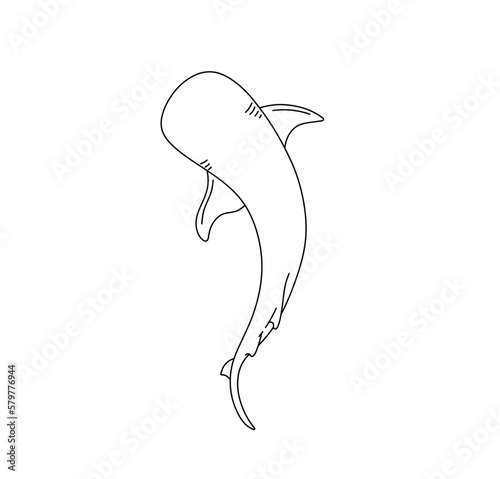 Vector isolated one single swimming  shark top view  colorless black and white contour line easy drawing