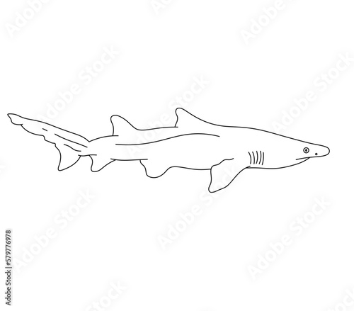 Vector isolated one single swimming mako shark side view  colorless black and white contour line easy drawing

