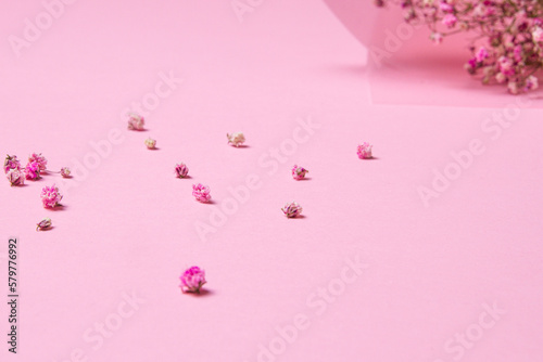 Delicate dry pink flowers. Small flowers. On a pink background. Spring, feminine, cute. Pink background. Flowers. Dried flowers. Empty space. Bouquet.
