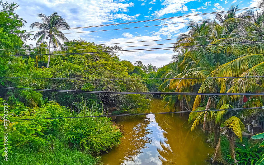 Green beautiful tropical river Freshwater Lagoon in Puerto Escondido Mexico.