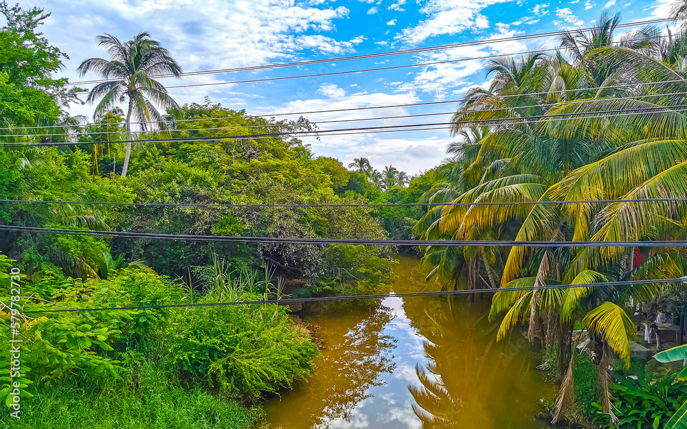 Obraz premium Green beautiful tropical river Freshwater Lagoon in Puerto Escondido Mexico.