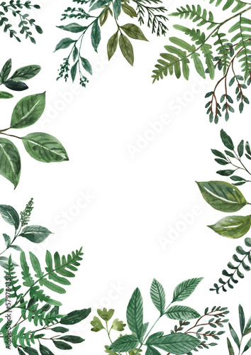 Fototapeta Naklejka Na Ścianę i Meble -  Rectangle greenery frame. Invitation template with green foliage leaves on a white background and space for text—watercolor botanical border.