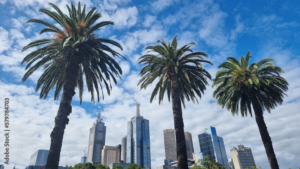 Obraz premium Contrast between nature and city in Melbourne, Australia