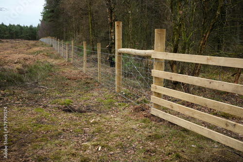 New forestry fencing  at Newgate Bank. Helmsley photo