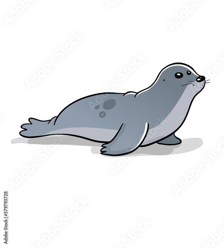 Cute little grey seal