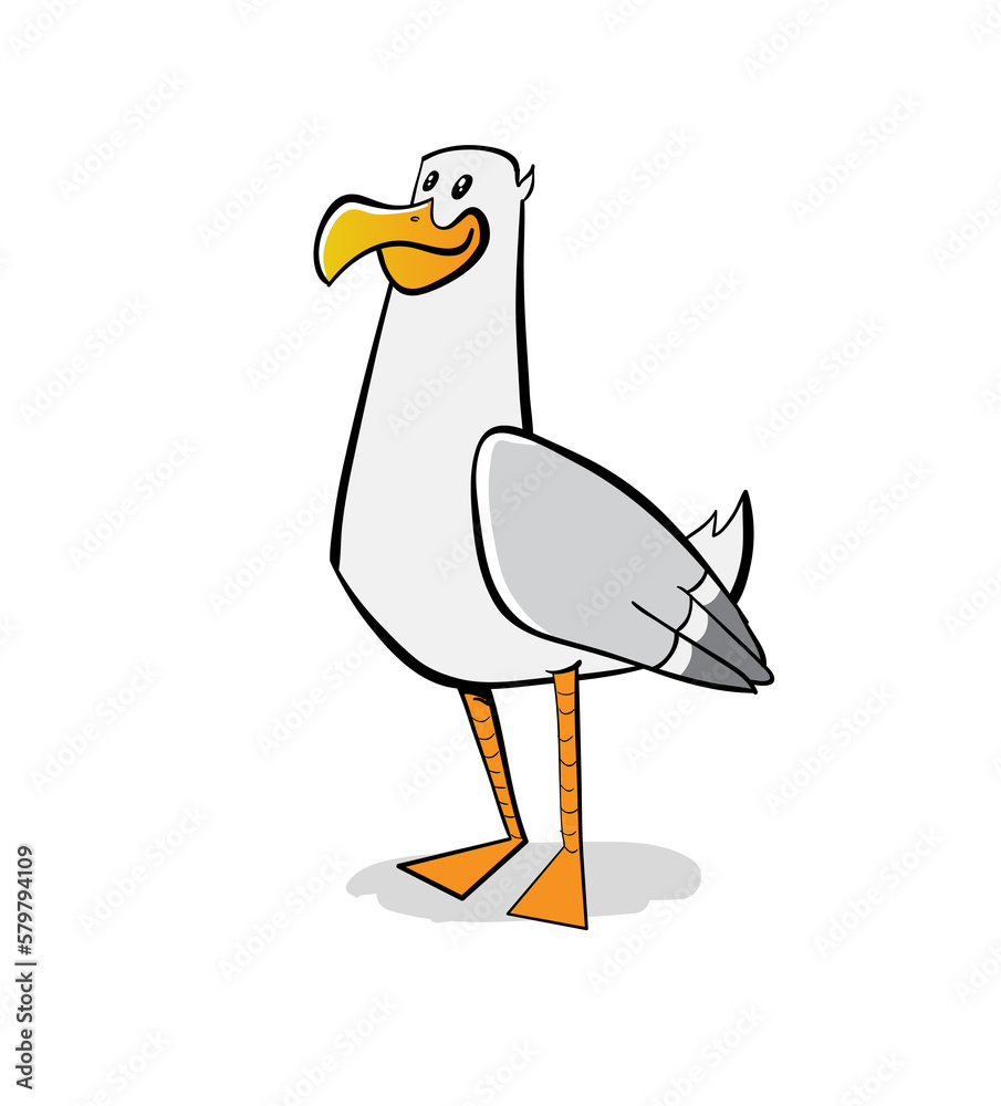 White seagul wuth grey feathers White seagul wuth grey feathers