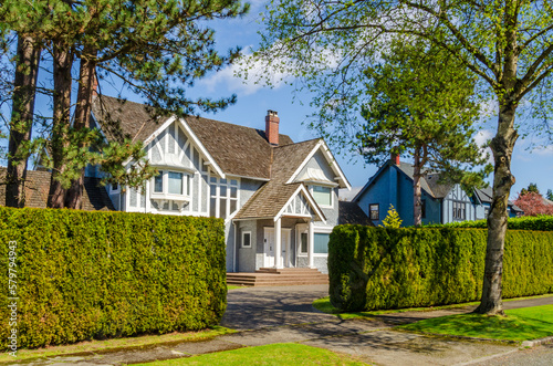 Houses in suburb with Spring Blossom in the north America. Luxury houses with nice white and pink coloured landscape.