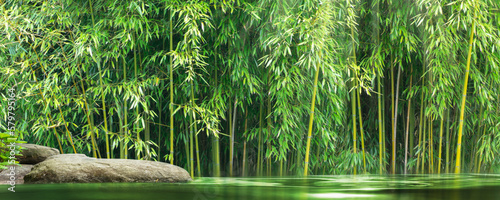 spring water in a wild bamboo garden with product display on a sunny rock, idyllic landscape background concept with asian zen spirit for spa, travel, wellness © winyu