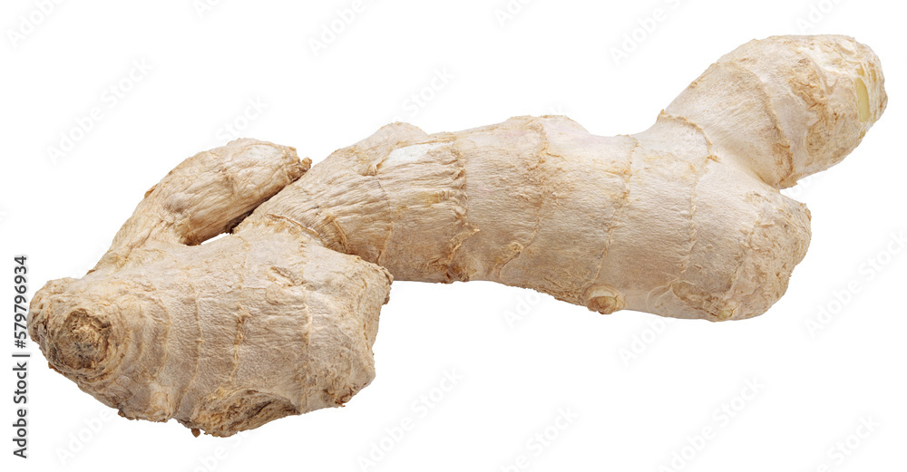 Ginger isolated on transparent background Ginger isolated on transparent background