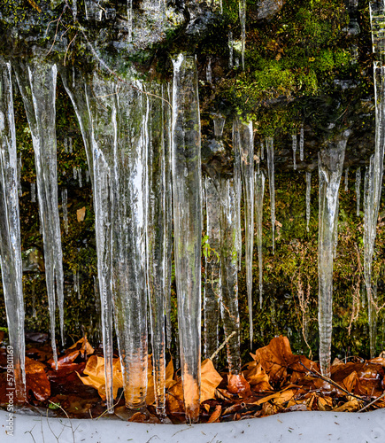 With Spring comes warming and icicles forming on the walls of this moss cover cliff in NE PA.  Winter is over and the Spring thaw and refreeze cycle is happening on the north facing side of this wall. photo