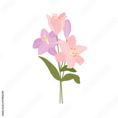 Festive vector illustration with branches of lilies flowers and green leaves. Bouquet of pink lilies isolated on white. Floral composition for spring design. Greeting card template. Mothers day